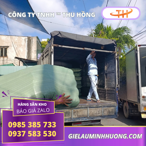 Sắp xếp lên 10000 đôi găng tay muối tiêu 50g Sắp xếp lên 10000 đôi găng tay muối tiêu 50g