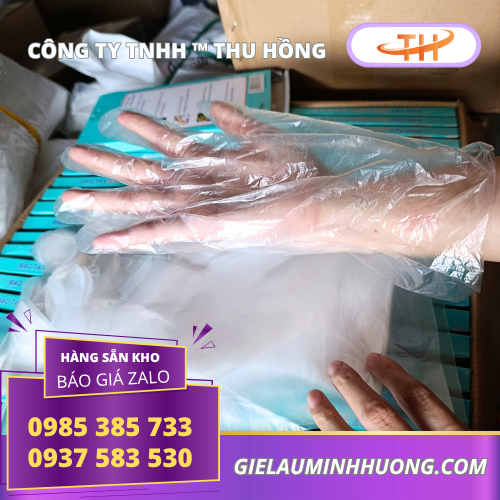 Thu Hồng bỏ sỉ găng tay nilon giá rẻ hộp 100 cái tại TPHCM Thu Hồng bỏ sỉ găng tay nilon giá rẻ hộp 100 cái tại TPHCM