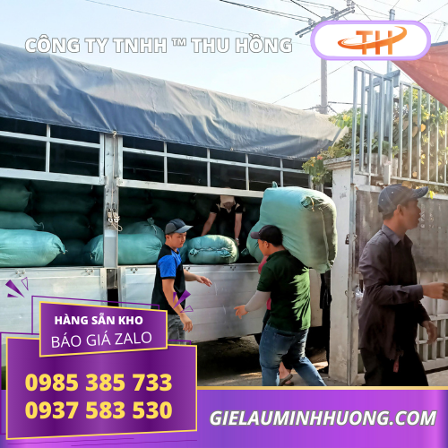 Thu Hồng chuyên bán giẻ lau trắng size nhỏ giá tận gốc Thu Hồng chuyên bán giẻ lau trắng size nhỏ giá tận gốc