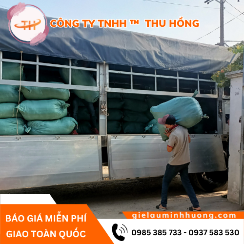 Thu Hồng đi giao khăn vuông trắng cho khách Thu Hồng đi giao khăn vuông trắng cho khách