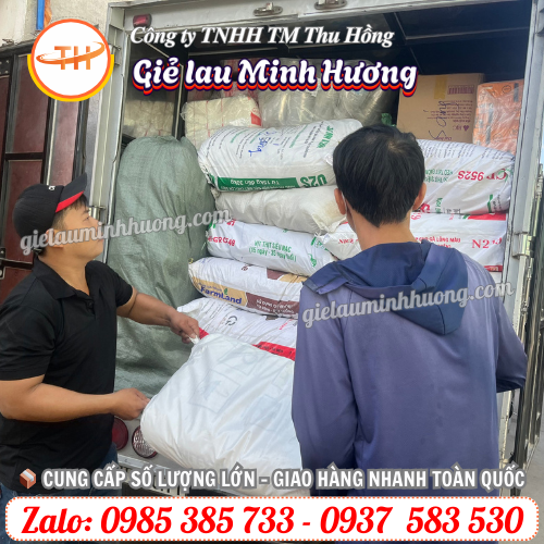 Thu Hồng địa chỉ mua găng tay xốp zin nam giá rẻ Thu Hồng địa chỉ mua găng tay xốp zin nam giá rẻ