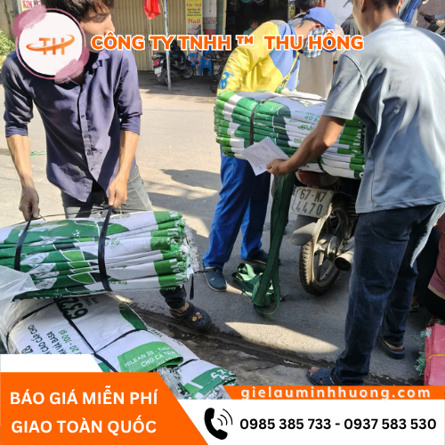 Thu Hồng giao bao PP đựng cám cũ cho khách hàng Thu Hồng giao bao PP đựng cám cũ cho khách hàng