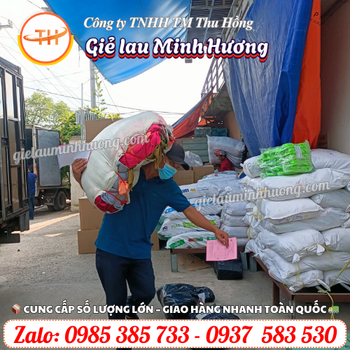 Thu Hồng giao giẻ lau công nghiệp nhanh chóng Thu Hồng giao giẻ lau công nghiệp nhanh chóng