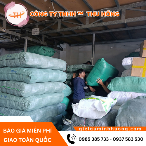 Thu Hồng – Kho giẻ lau công nghiệp giá sỉ cho khách mua số lượng lớn Thu Hồng – Kho giẻ lau công nghiệp giá sỉ cho khách mua số lượng lớn