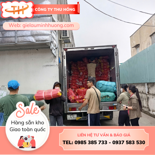 Thu Hồng uy tín với đơn 10000 bao tải dứa đỏ Thu Hồng uy tín với đơn 10000 bao tải dứa đỏ