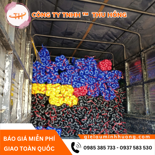 Thu Hồng xuất kho đơn lớn 1 tấn dây nilon kẽm khô đủ màu Thu Hồng xuất kho đơn lớn 1 tấn dây nilon kẽm khô đủ màu