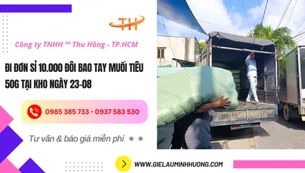 Đi đơn sỉ hơn 10000 đôi găng tay muối tiêu 50g ngày 23-08