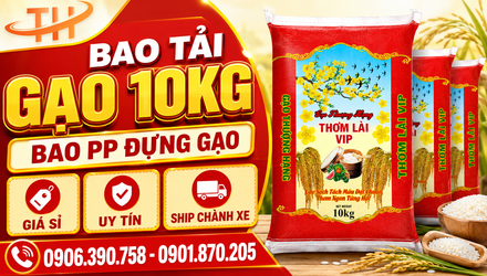 Bảo Tải Gạo In Sẵn Logo 10Kg – Bao PP đựng gạo nổi bật, dễ đóng hàng
