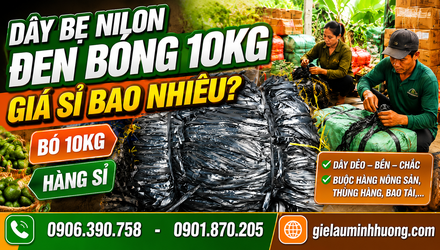 Dây bẹ nilon đen bóng bó 10kg giá bao nhiêu?