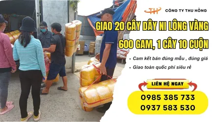 Giao 20 cây dây ni lông vàng 600 gam, 1 cây 10 cuộn