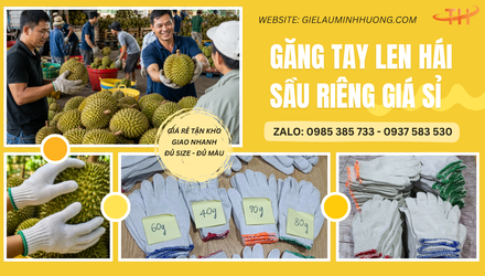 Găng tay len hái sầu riêng giá sỉ cho nhà vườn, thương lái 