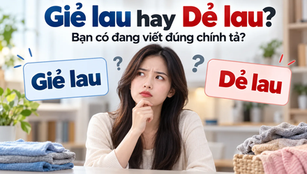 Giẻ lau hay dẻ lau? Bạn có đang viết sai hai từ này?