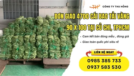 Thu Hồng đi giao 4700 cái bao tải vàng 90 x 100 tại Củ Chi