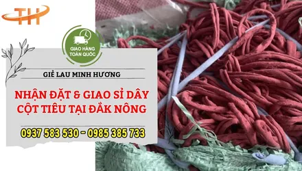 Giao số lượng lớn dây cột cây tiêu bao 40kg đi Đắk Nông
