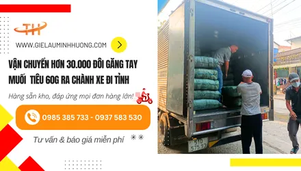 Vận chuyển hơn 30000 đôi găng tay muối tiêu loại 60g ra chành