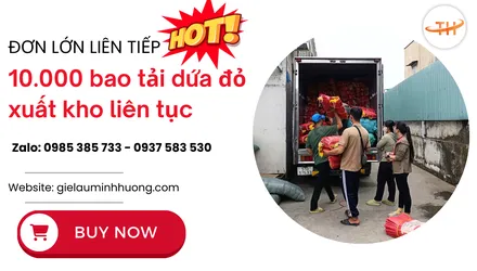 Đơn lớn liên tiếp – 10.000 bao tải dứa đỏ vừa xuất kho