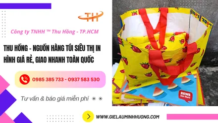 Nguồn hàng túi siêu thị in hình giá sỉ, giao nhanh toàn quốc
