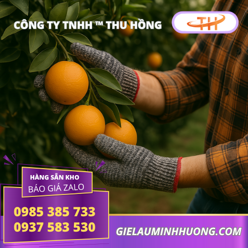 Trang bị bao tay muối tiêu 40gr viền đỏ trong nông nghiệp Trang bị bao tay muối tiêu 40gr viền đỏ trong nông nghiệp