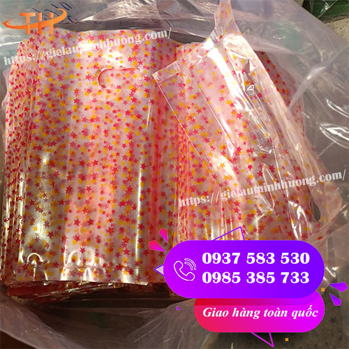Túi bóng kiếng PP in hình ngôi sao