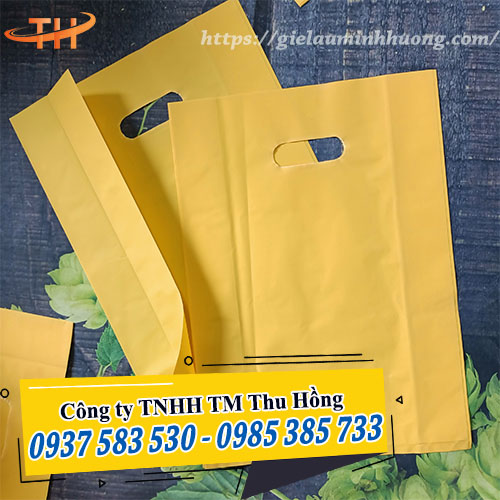 Túi hột xoài HD màu