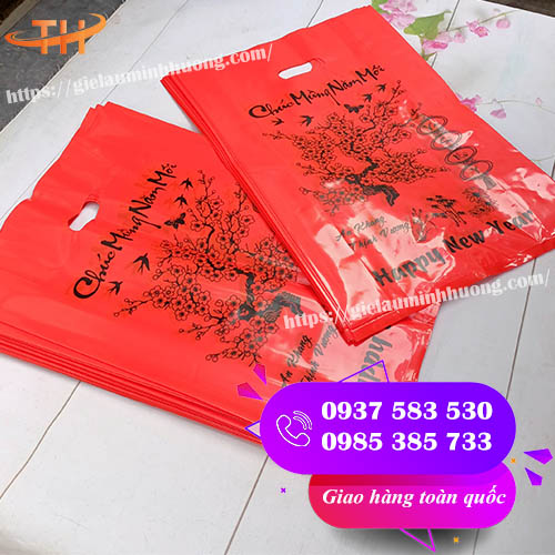 túi hột xoài pe gói hàng chất lượng, độ bền cao