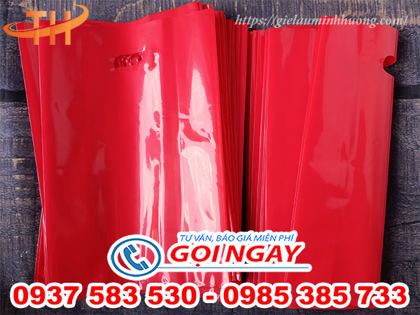 Túi hột xoài PE màu trơn