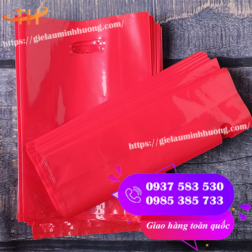 túi hột xoài PE màu