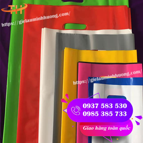 túi hột xoài PE và các kích thước thông dụng