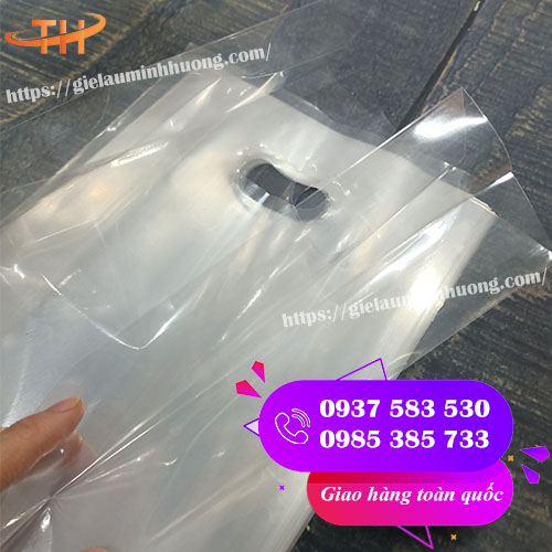 túi hột xoài PP trong không in siêu dày