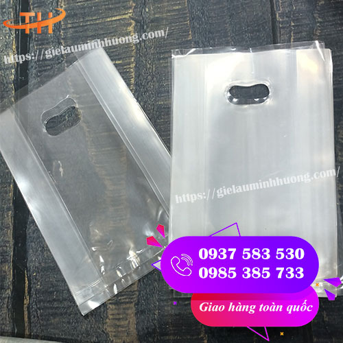 túi hột xoài PP trong không in