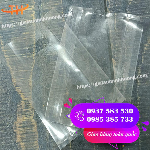 túi hột xoài PP trong suốt