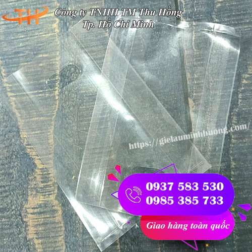Túi hột xoài trong suốt đầy đủ kích thước