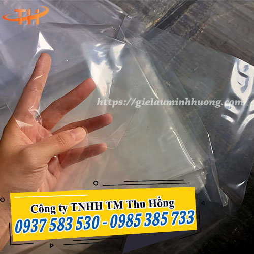 túi PP trong đựng nước lèo đủ size