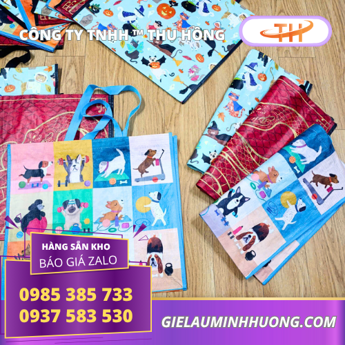 Túi xách siêu thị đủ loại giao tại TPHCM Túi xách siêu thị đủ loại giao tại TPHCM