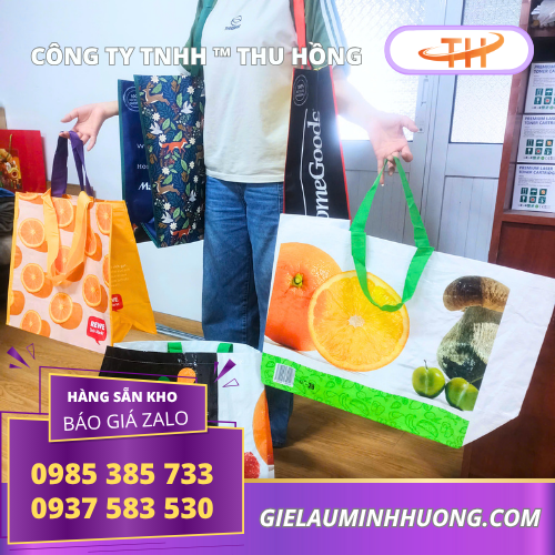 Túi xách siêu thị có quai xách tay tiện lợi Túi xách siêu thị có quai xách tay tiện lợi