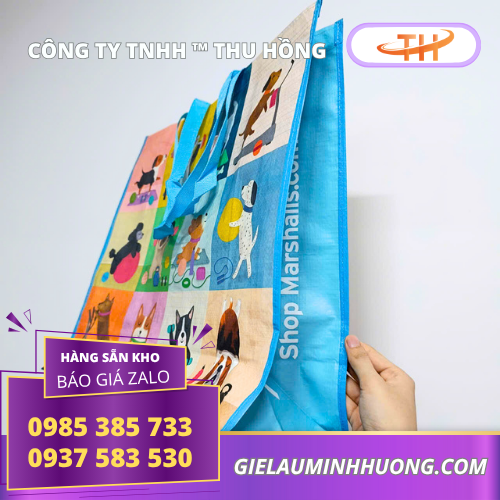 Túi xách siêu thị dai bền chắc chắn Túi xách siêu thị dai bền chắc chắn