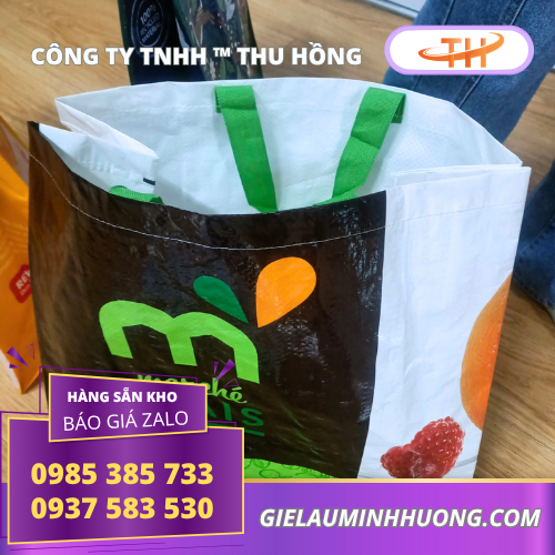 Túi xách siêu thị tái chế nhiều lần Túi xách siêu thị tái chế nhiều lần