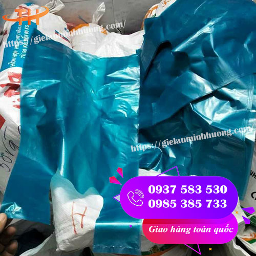 túi xốp màu đựng trái cây nhiều kích thước