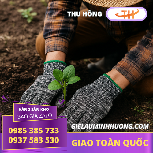Đeo bao tay len muối tiêu khi làm vườn Ứng dụng bao tay bảo hộ len sợi muối tiêu trong nông nghiệp