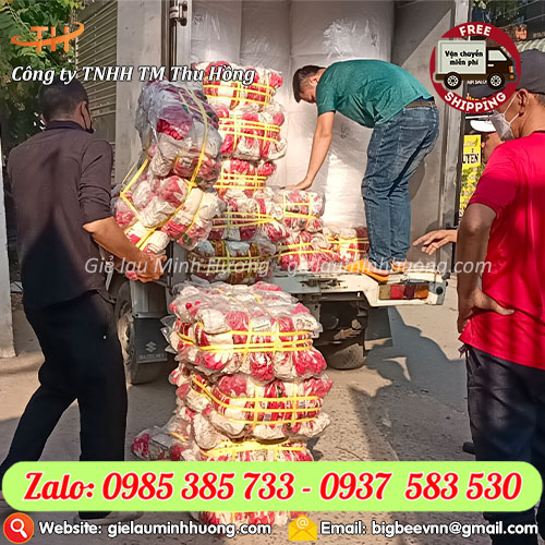 Xưởng sản xuất sỉ bao tay phủ sơn đỏ bám dính tốt Xưởng sản xuất sỉ bao tay phủ sơn đỏ bám dính tốt