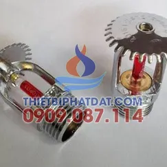 Đầu Phun Hướng Lên Mintai Trung Quốc T-ZSTZ20 k = 8.0