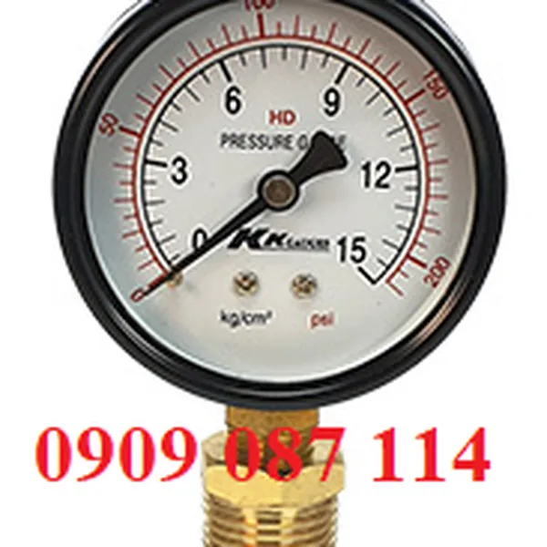 Đồng Hồ Áp Lực FMS-PG15