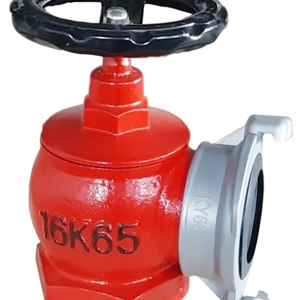 Van gốc chữa cháy DN65