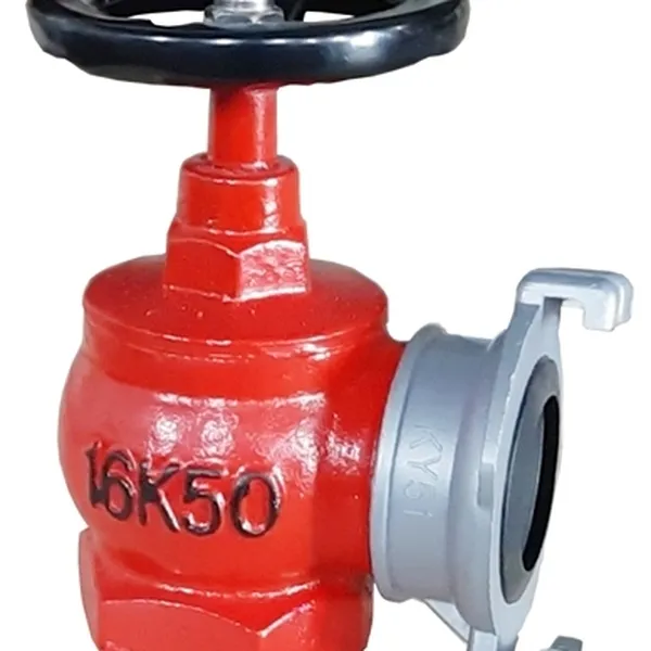 Van góc chữa cháy DN50