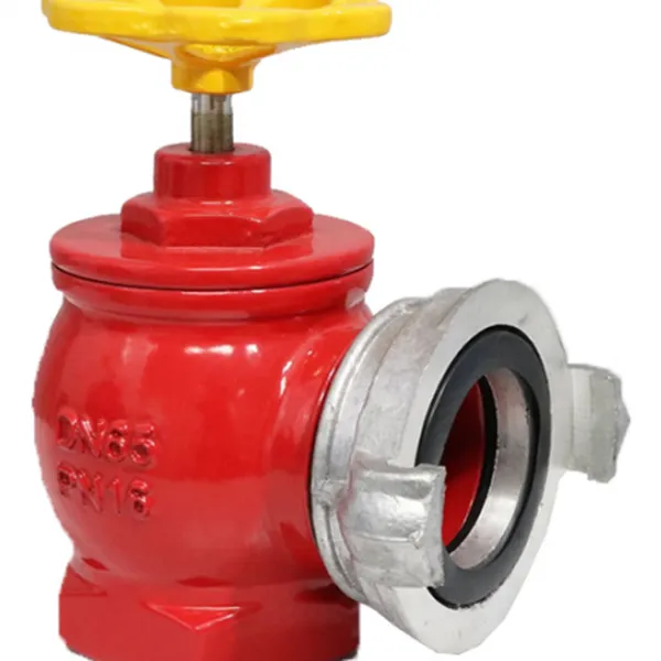 Van góc chữa cháy Tomoken DN65
