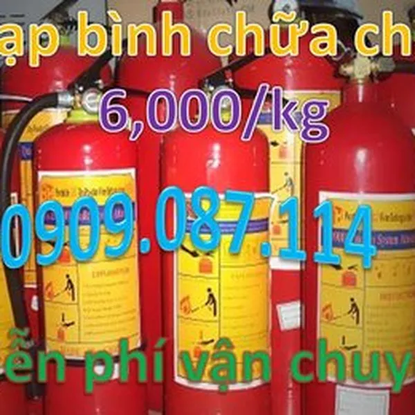 Bình chữa cháy giá rẻ nhất tại Hồ Chí Minh