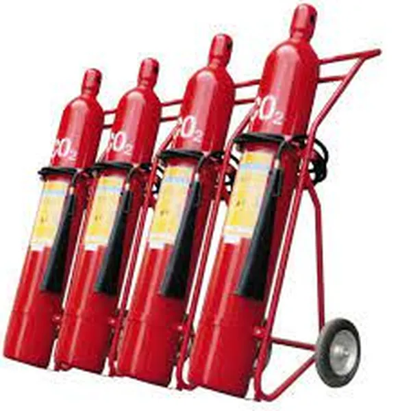 Bình chữa cháy xe đẩy khí CO2 Renan MT24 24kg