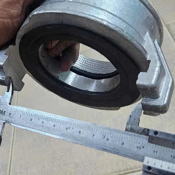 Ngàm Chữa Cháy Ren Trong D77