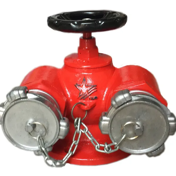 Họng đôi tiếp nước chữa cháy hai ngã D65