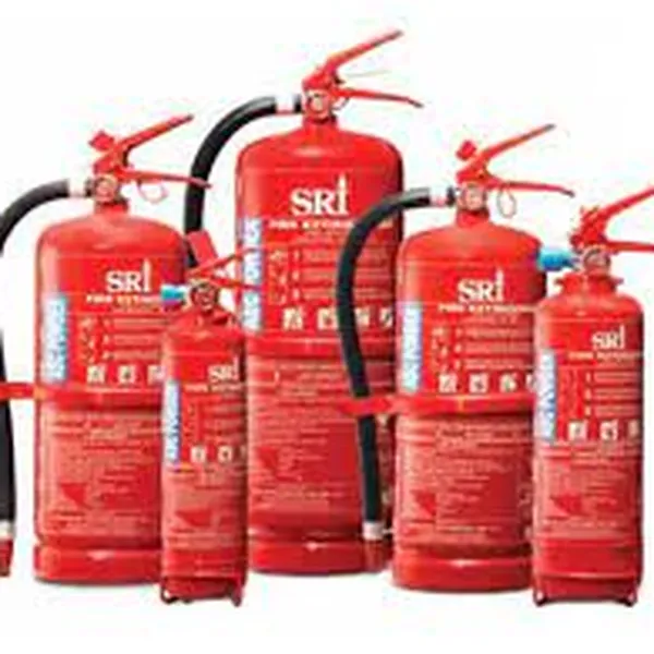 Bình chữa cháy tự động bột ABC 6kg SRI